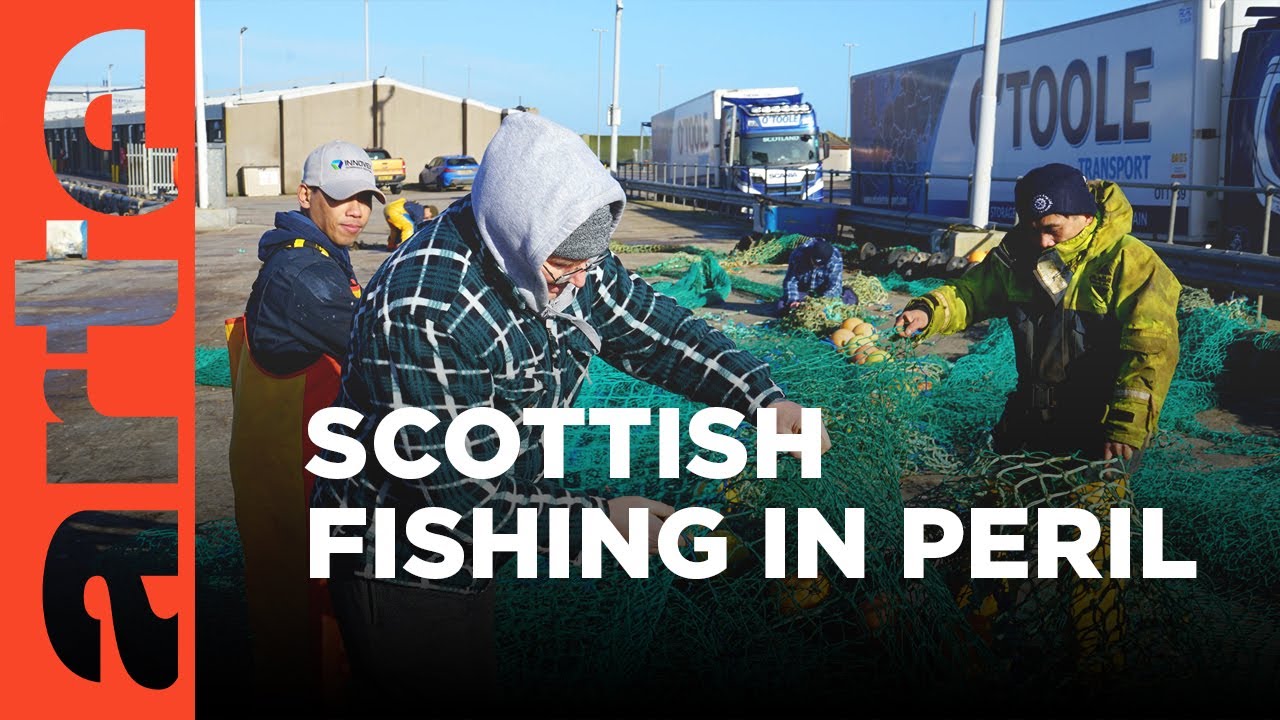 Scotland: Brexit Takes Toll on Fishing I ARTE Documentary