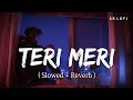 Teri Meri Prem Kahani (Slowed + Reverb) | Rahat Fateh Ali Khan, Shreya Ghoshal | Bodyguard | SR Lofi