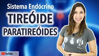 Tireóide e Paratireóides: Sistema Endócrino