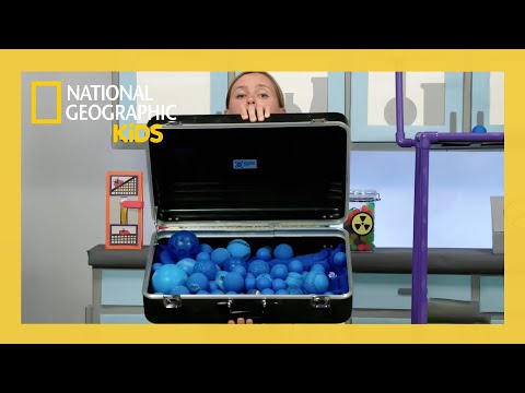 The Egg Drop Challenge 🥚 | Weird But True Full Episode | Nat Geo Kids
