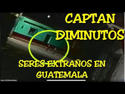LOS DESVELADOS - CAPTAN DIMINUTOS SERES EXTRAÑOS EN GUATEMALA