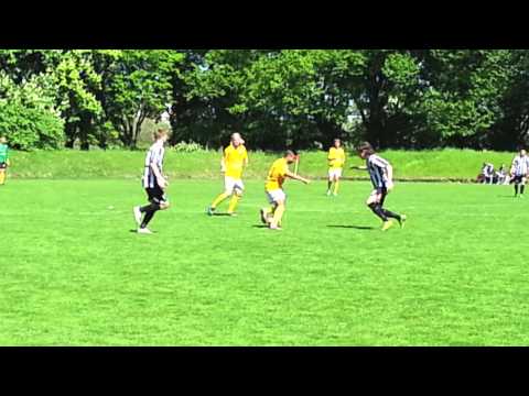 Aloand Alzahawi - Falkenbergs FF 2014