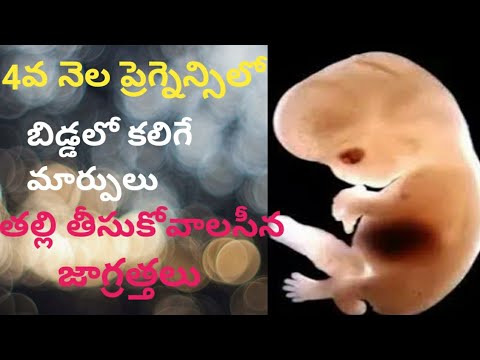 4 month pregnancy baby movements in telugu| 4th month pregnancy in telugu| baby development