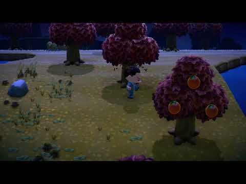 Animal Crossing: New Horizons - Getting Stung by Wasps