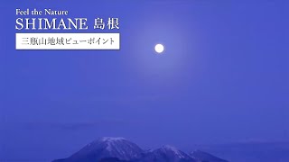 vignettes vidéo