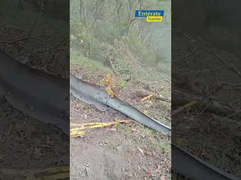 🚨 Grave accidente de cisterna en la vía Pasto–Chachagüí