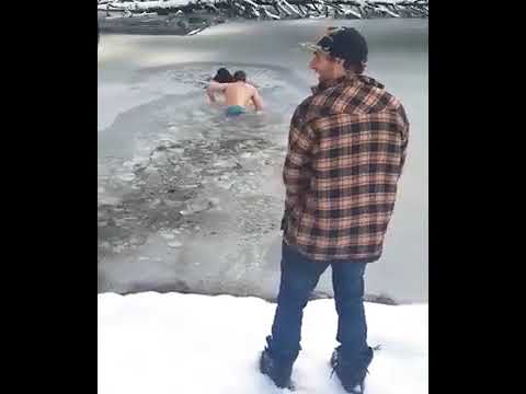 Хозяин не бросил своего пса в беде