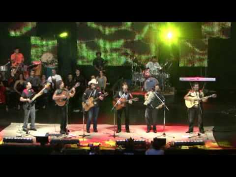 LOS CASTILLOS MALAGUENHA