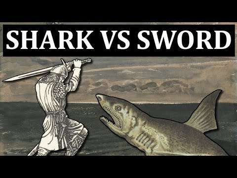 The Man who Tried to Fight a Shark with a Sword