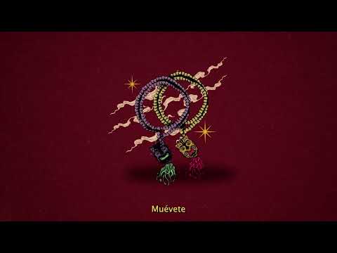 Masta Quba & P. Jaguar ft. Malambres - Blessed