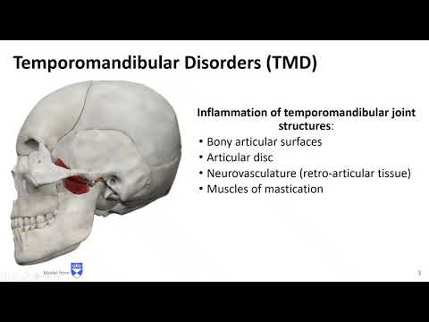 Mastication LO - Temporomandibular Disorders