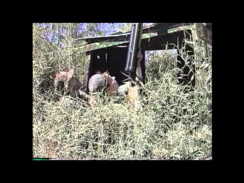 TK and Mike, Waterfowl Widow Maker