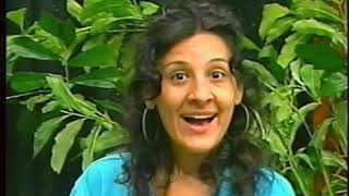 The Evening Broadcast