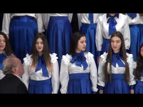 HOR VOX DUNARIS - TURN SEVERIN - RUMUNIJA