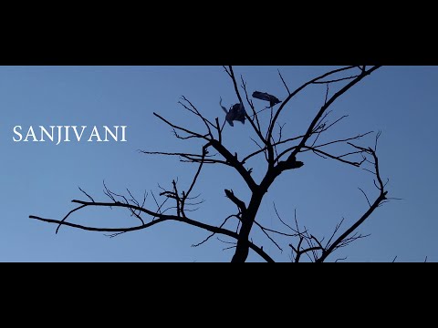 Roshan Jaigadi sanjeevani-...