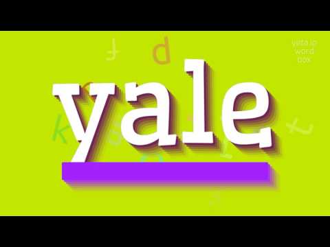 How to say "yale"! (High Quality Voices)