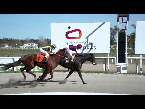 230811 c03 - QUEENB - HIPODROMO LAS PIEDRAS