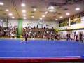 2008 NYS Level 8 Kristina On Floor