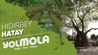 HATAY - HIDIRBEY (MUSA AĞACI)