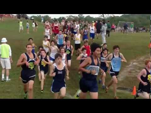 Jv Elite Large Race