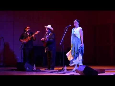 Radio Jarocho & Zenen Zeferino play Los Cotorritos