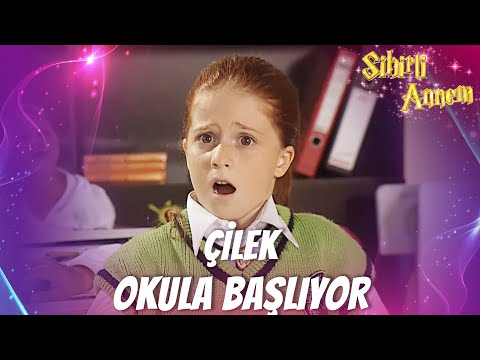 Çilek Okula Başlıyor! | Sihirli Annem Özel Kolaj