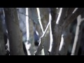 Autumn's Song - a pale wolf film 