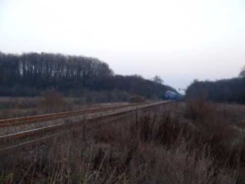 EGM DIESEL CU FLUIER SI GOARNE :))