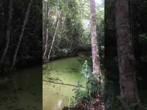 Rio Nova Lacerda - MT