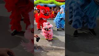 Download lagu Chú Lân Nhỏ Xíu Xiu Cute #catbaby #babycute #cutebaby #funnybaby #bibibaby mp3 Download lagu Chú Lân Nhỏ Xíu Xiu Cute #catbaby #babycute #cutebaby #funnybaby #bibibaby mp3