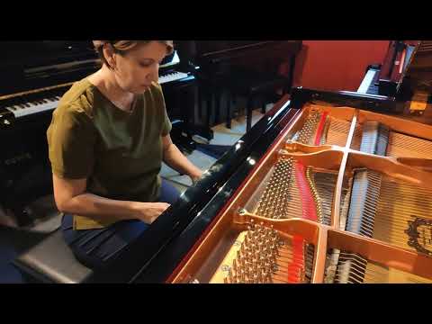 Amor de Índio - Tema de Juma e Jove (Pantanal 2022) // Yamaha GC2 // Pianos Tomanik