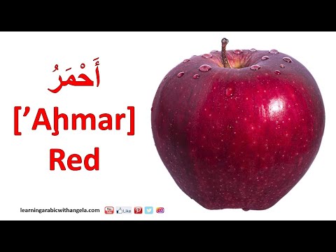 Al Alwan, Colors in Arabic (masculine & feminine), Learning Arabic With Angela