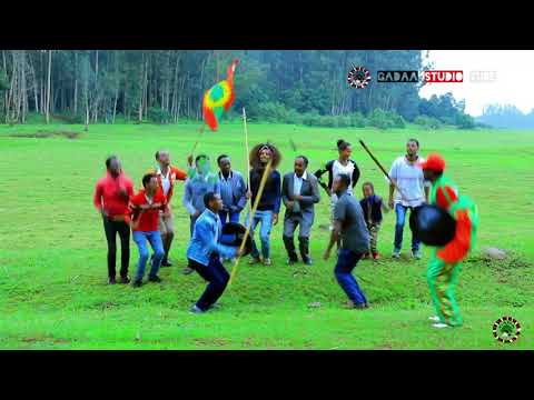 Fayyisaa Tolasaa  Balammii haamii hafii oromoo music (official video)