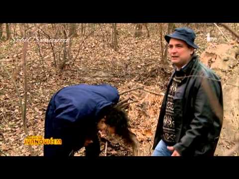 Srbi u svemiru - 21.epizoda