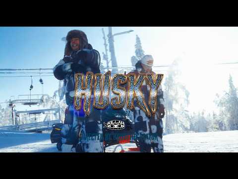 Kube x VBZ - HUSKY