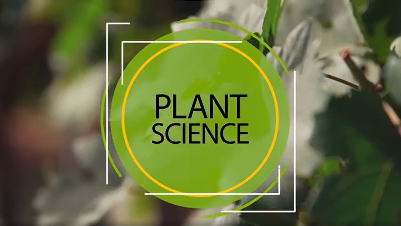 All About Plant Science