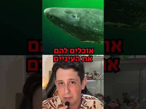 חיות עם החיים הכי גרועים