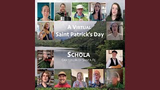 She Moved Through the Fair