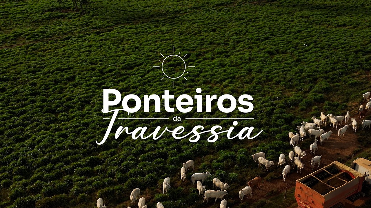 Ponteiros da Travessia