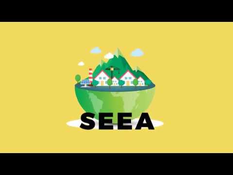 System of Environmental Economic Accounting (SEEA)