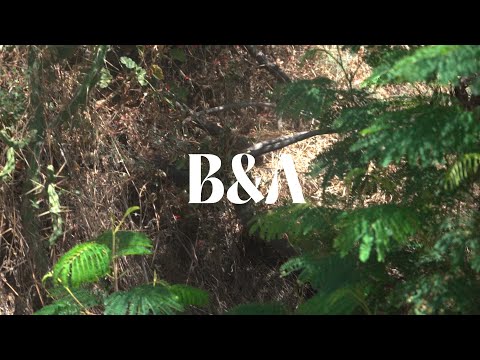 B&A_matrimonio civil