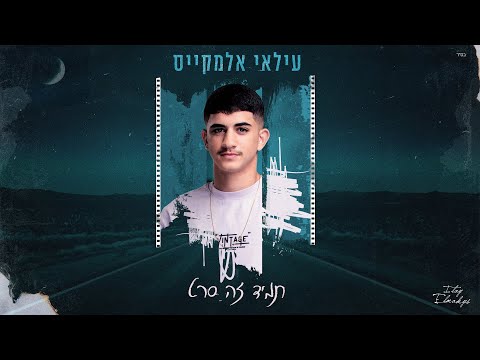 עילאי אלמקייס – תמיד זה סרט