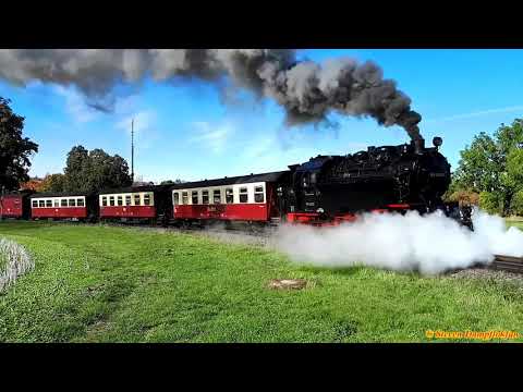 Selketal 2019 / Wandern im Selketal (07.10.2019), Gernrode (Harz) - Ballenstedt