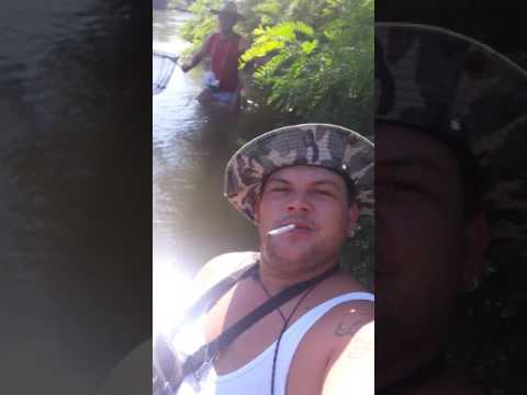 MRENA VARDAR GRADSKO