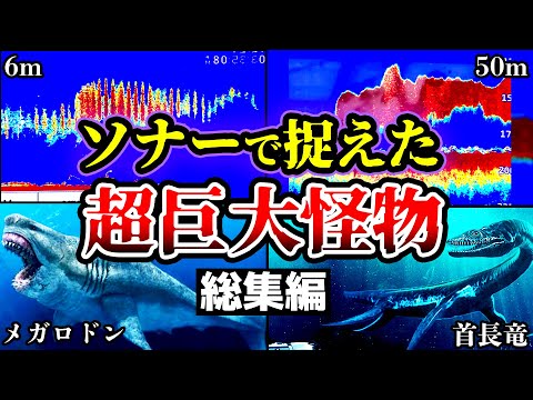 ネス湖:謎の怪物に関する想定される説明を研究者が反論