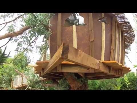 comment construire cabane dans les arbres