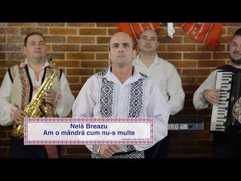 Nela Breazu - Am o mandra cum nu-s multe (videoclip oficial) 2019 NOU