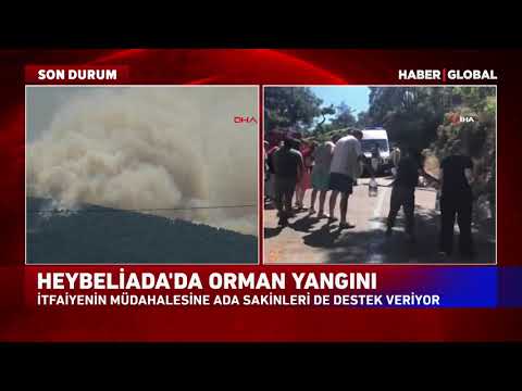 Erdem Gül'den Heybeliada'daki Yangına İlişkin Flaş Açıklama!