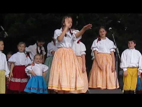 ŠUMAVÁNEK Z Klatov 2  / Polabská Vonička 2016 Nymburk /č.6