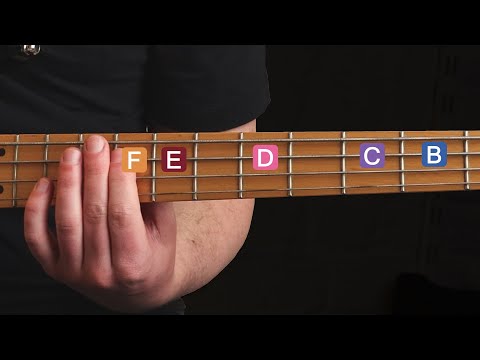 How to Find NOTES on the Bass Fretboard - Beginner Bass Lesson